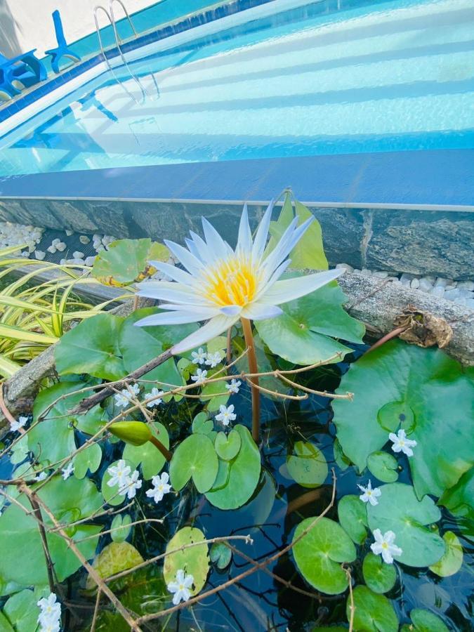 Liyanage Resort Mirissa Ngoại thất bức ảnh